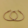 1 Pair Simple Style Geometric Plating Stainless Steel Earrings