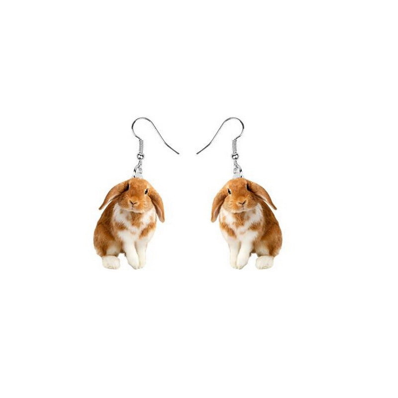 1 Pair Fashion Animal Arylic Women's Drop Earrings