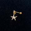 1 Piece Lady Star Inlay Stainless Steel Zircon Ear Studs