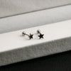 1 Pair Simple Style Flower Enamel Plating Stainless Steel Ear Studs