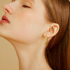 1 Pair Simple Style Solid Color Stainless Steel Plating 18k Gold Plated Earrings