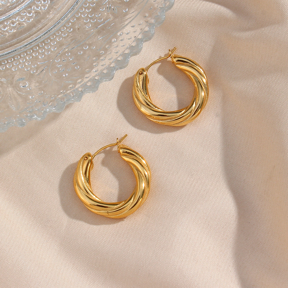 1 Pair Modern Style Simple Style Round Stainless Steel Plating 18k Gold Plated Hoop Earrings