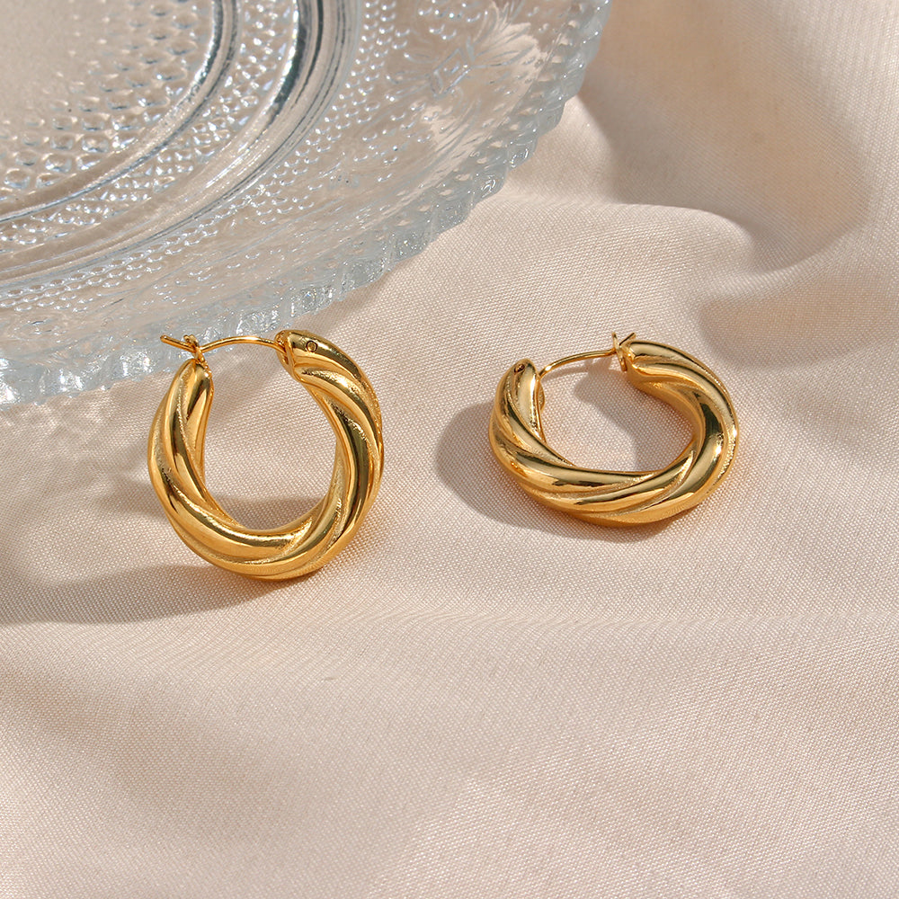 1 Pair Modern Style Simple Style Round Stainless Steel Plating 18k Gold Plated Hoop Earrings