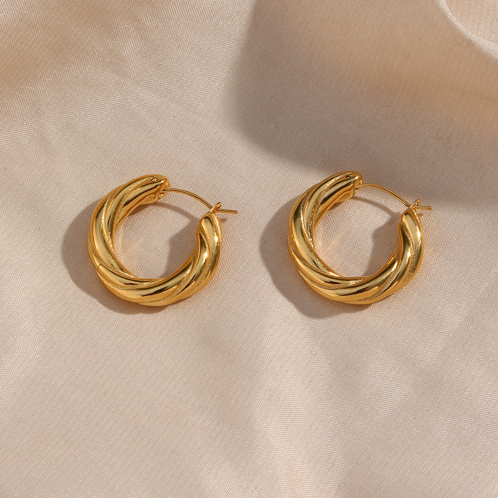 1 Pair Modern Style Simple Style Round Stainless Steel Plating 18k Gold Plated Hoop Earrings