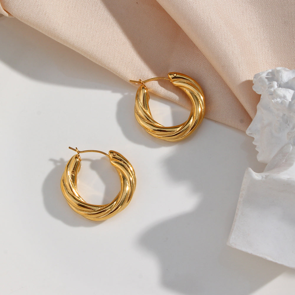 1 Pair Modern Style Simple Style Round Stainless Steel Plating 18k Gold Plated Hoop Earrings