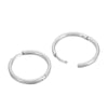 1 Pair Streetwear Solid Color Stainless Steel Hoop Earrings