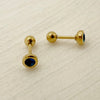 1 Pair Simple Style Round Plating Inlay Stainless Steel Zircon Gold Plated Ear Studs