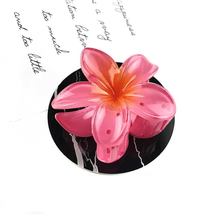 Sweet Flower Transparent Plastic Resin Hair Claws