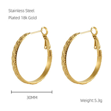 1 Pair Modern Style Simple Style Solid Color Plating Stainless Steel 18k Gold Plated Hoop Earrings