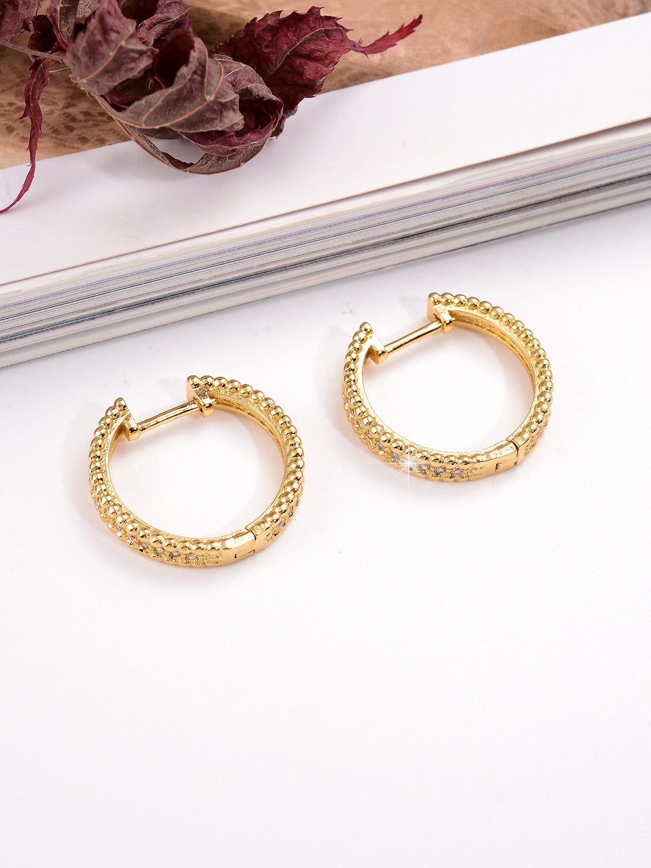 1 Pair Ig Style Simple Style Circle Plating Inlay Copper Zircon 18k Gold Plated Earrings