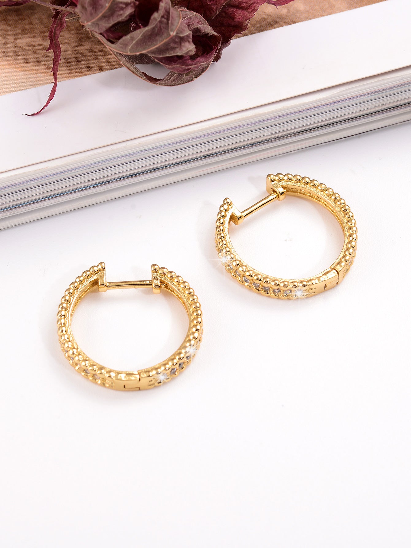 1 Pair Ig Style Simple Style Circle Plating Inlay Copper Zircon 18k Gold Plated Earrings