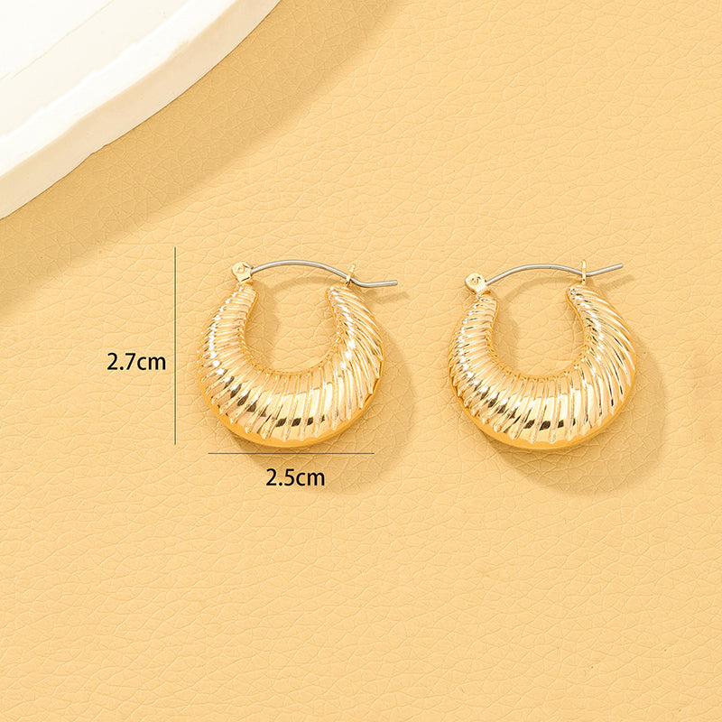 1 Pair Lady Solid Color Irregular Alloy Earrings