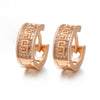 1 Pair Classic Style Round Plating Inlay Copper Zircon 18k Gold Plated Earrings