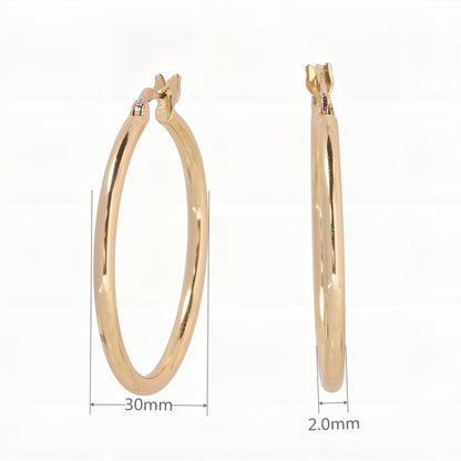 1 Pair Simple Style Geometric Solid Color Plating Sterling Silver White Gold Plated Gold Plated Earrings