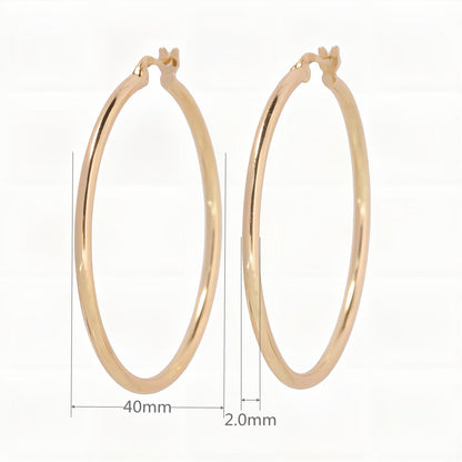 1 Pair Simple Style Geometric Solid Color Plating Sterling Silver White Gold Plated Gold Plated Earrings