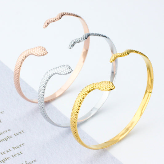 Retro Snake Stainless Steel Titanium Steel Plating Rose Gold Plated Gold Plated Silver Plated Bangle