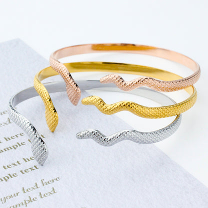 Retro Snake Stainless Steel Titanium Steel Plating Rose Gold Plated Gold Plated Silver Plated Bangle