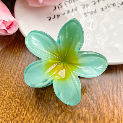 Simple Style Flower Plastic Resin Hair Claws