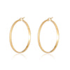 1 Pair Simple Style Geometric Solid Color Plating Stainless Steel Hoop Earrings