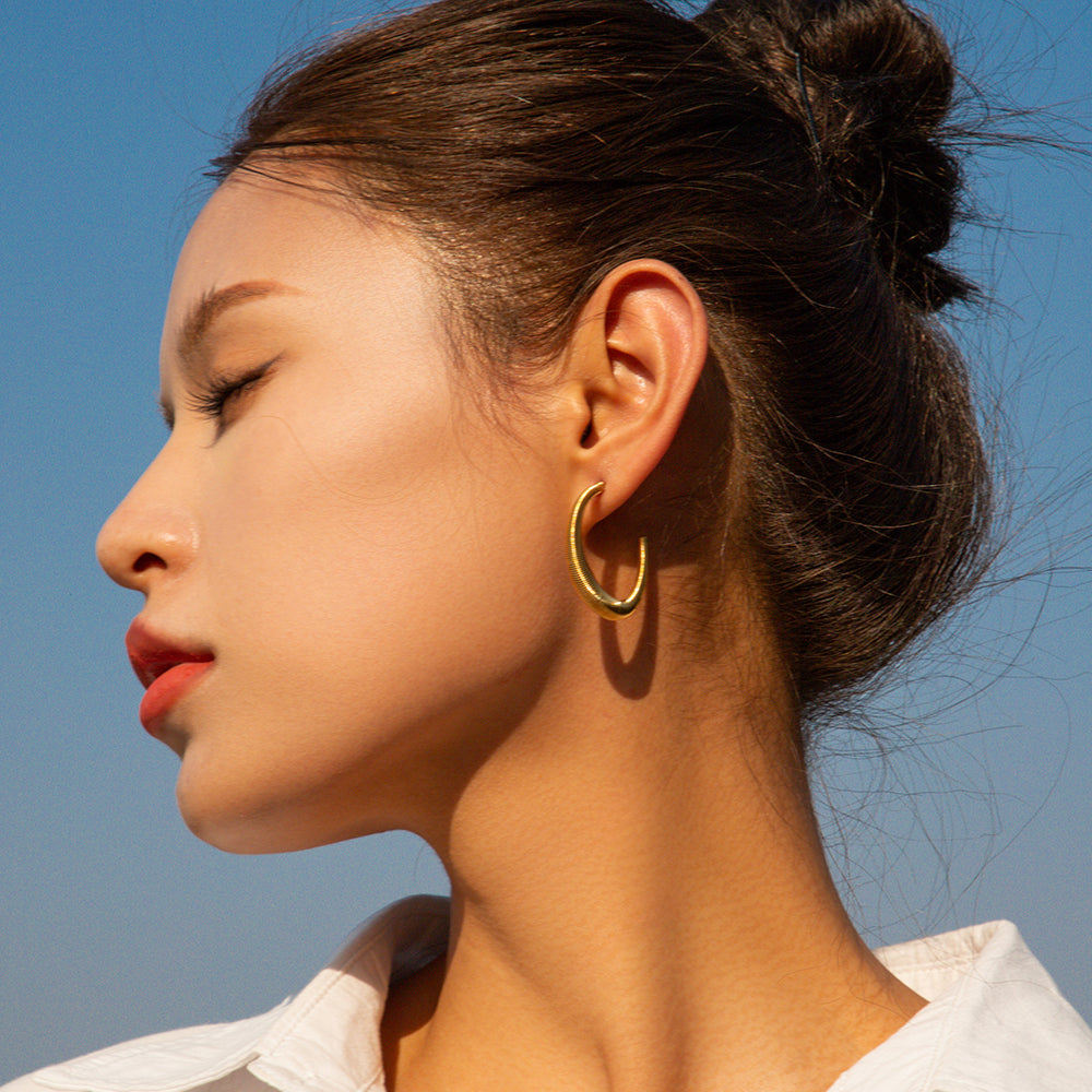 1 Pair Ig Style Geometric Plating Stainless Steel 18k Gold Plated Ear Studs