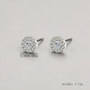 1 Pair Ig Style Elegant Bow Knot Plating Inlay Sterling Silver Zircon Silver Plated Ear Studs