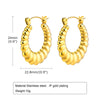 1 Pair Simple Style Solid Color Plating Stainless Steel 18k Gold Plated Earrings