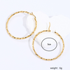 Fashion Round The Answer Stainless Steel Hoop Earrings Gold Plated Stainless Steel Earrings 1 Pair