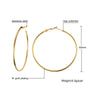 1 Pair Simple Style Geometric Stainless Steel Hoop Earrings