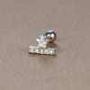 1 Piece Sweet Simple Style Flower Plating Inlay Titanium Steel Zircon Ear Studs