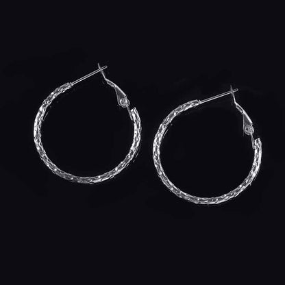 1 Pair Simple Style Classic Style Solid Color Stainless Steel Earrings