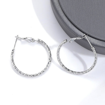 1 Pair Simple Style Classic Style Solid Color Stainless Steel Earrings