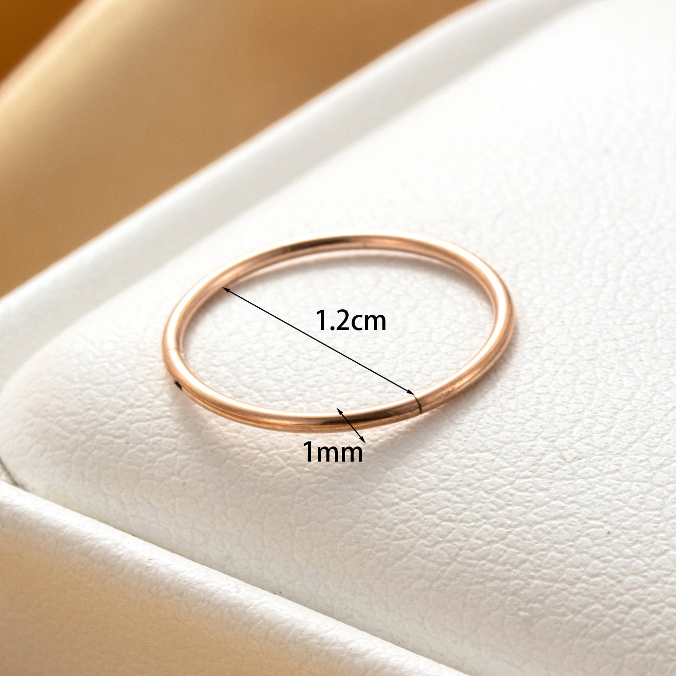 1 Piece Ig Style Round Plating Stainless Steel Hoop Earrings