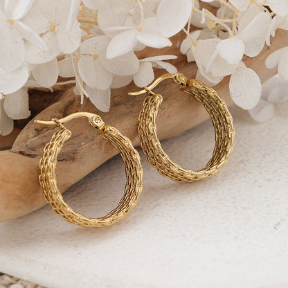 1 Pair IG Style Solid Color Plating Stainless Steel Hoop Earrings