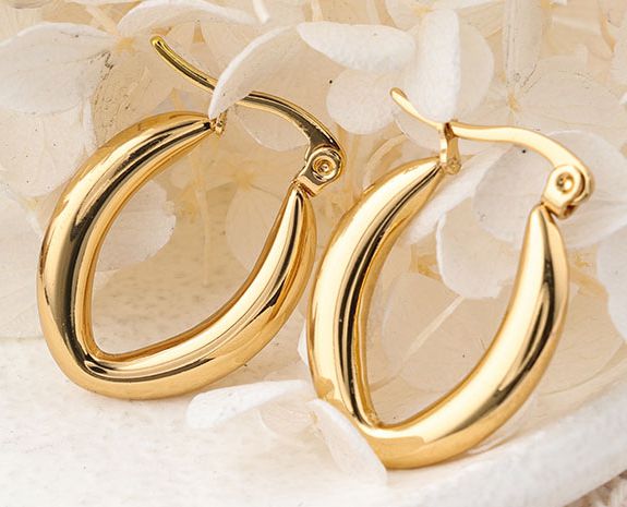 1 Pair Ig Style Semicircle Plating Stainless Steel Hoop Earrings