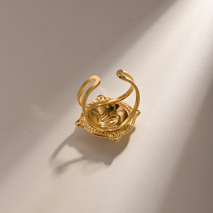 304 Stainless Steel 18K Gold Plated IG Style Snake Rings Earrings