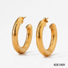 1 Pair Casual Solid Color Plating 304 Stainless Steel 16K Gold Plated White Gold Plated Gold Plated Earrings