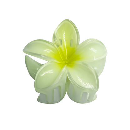 Women'S Simple Style Flower Plastic Resin Stoving Varnish Hair Claws