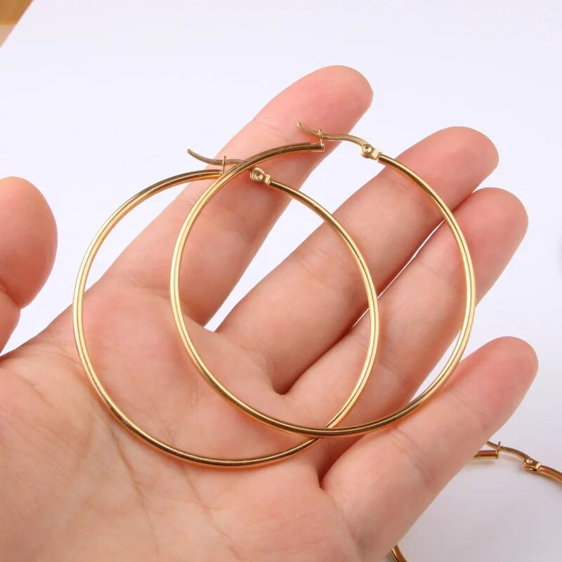 1 Pair Lady Round Plating Stainless Steel Earrings