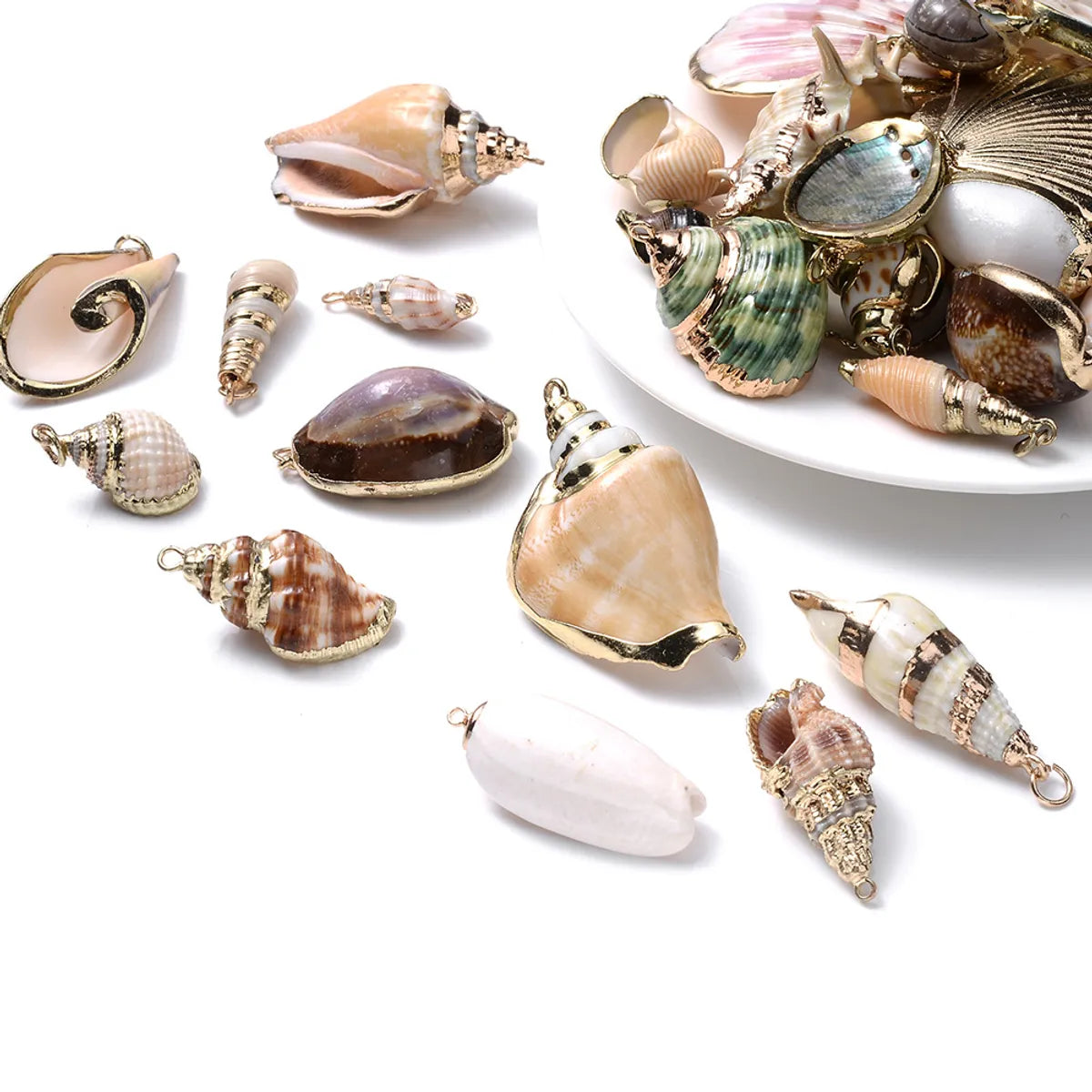 5 PCS/Package Shell Conch Shell Pendant