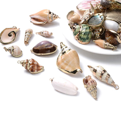 5 PCS/Package Shell Conch Shell Pendant