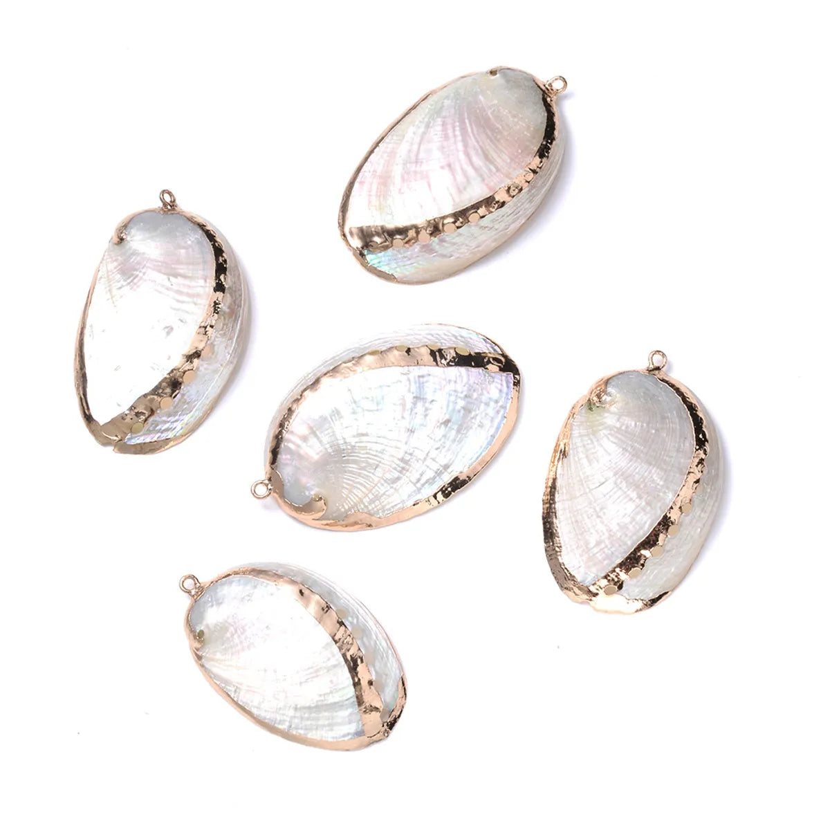 5 PCS/Package Shell Conch Shell Pendant