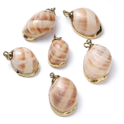 5 PCS/Package Shell Conch Shell Pendant