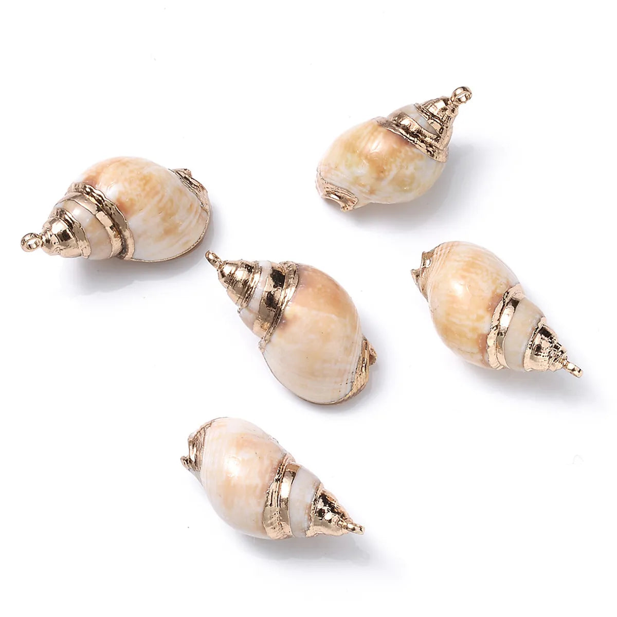 5 PCS/Package Shell Conch Shell Pendant