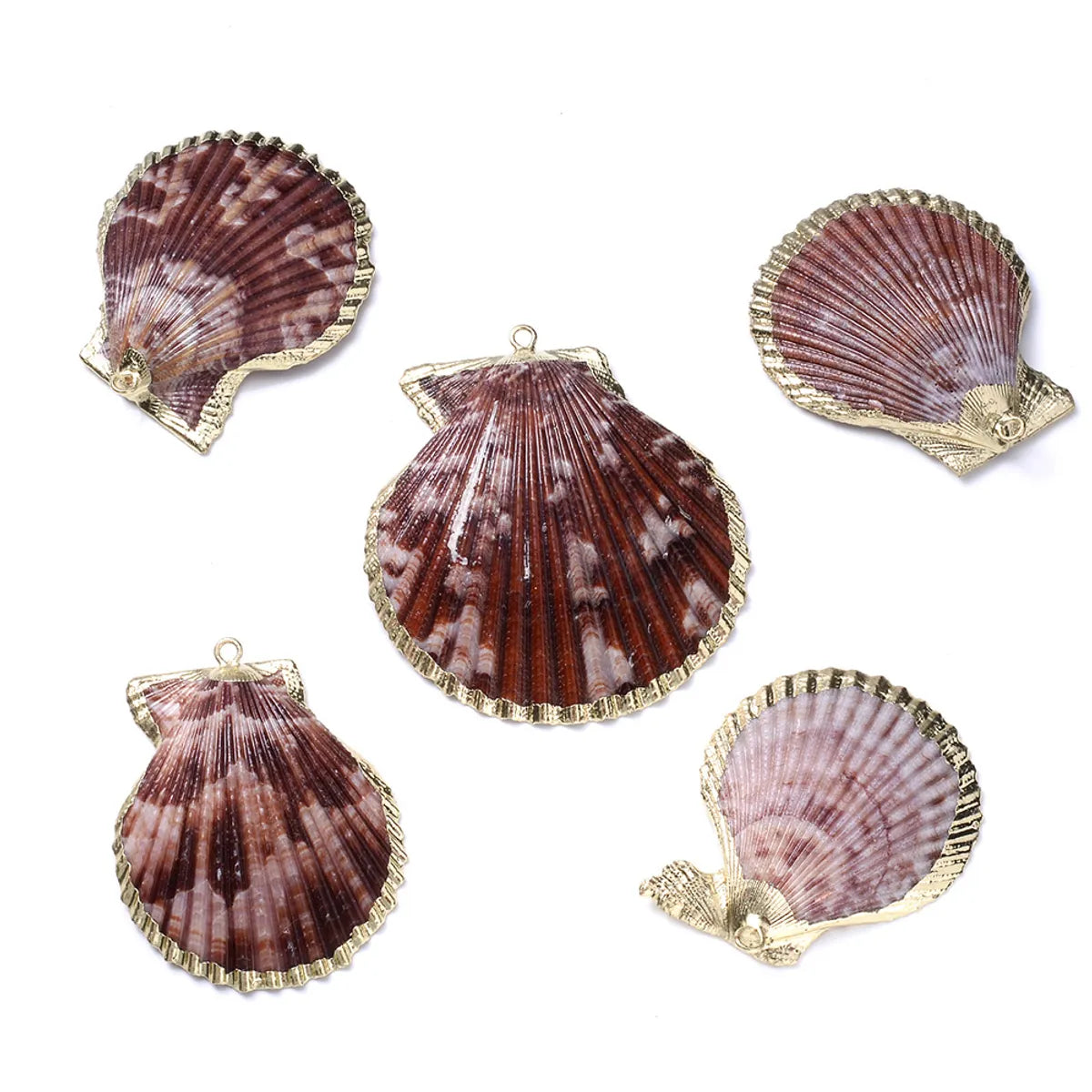 5 PCS/Package Shell Conch Shell Pendant