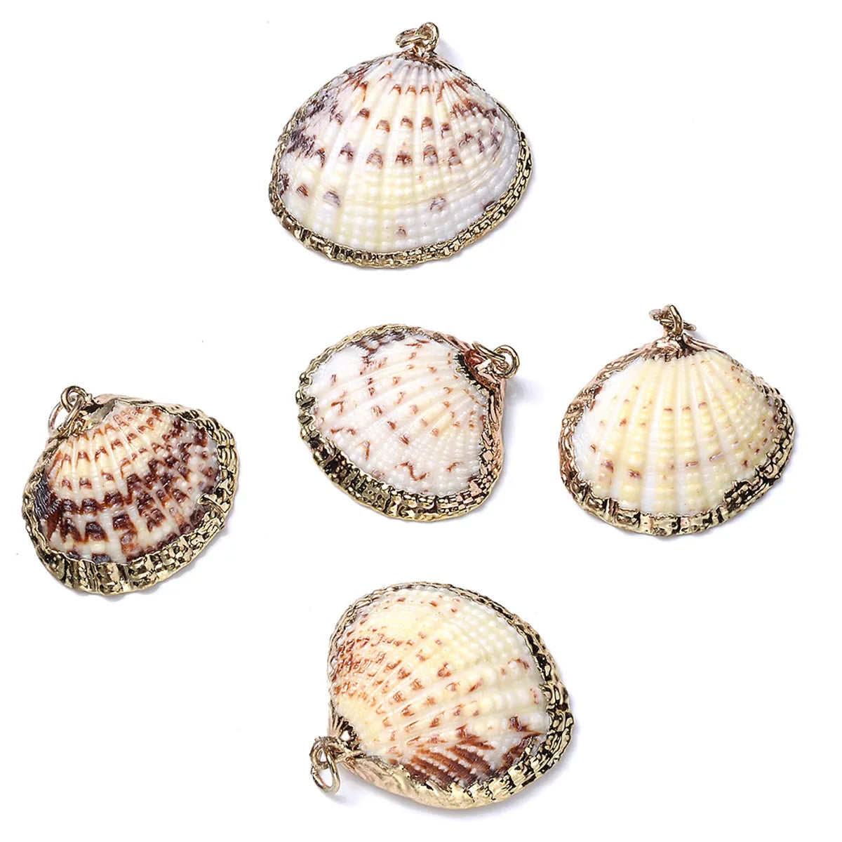 5 PCS/Package Shell Conch Shell Pendant