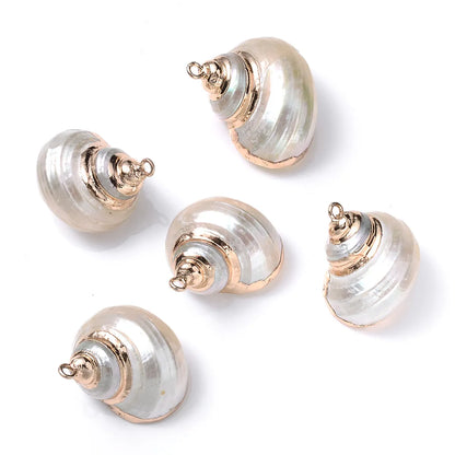 5 PCS/Package Shell Conch Shell Pendant