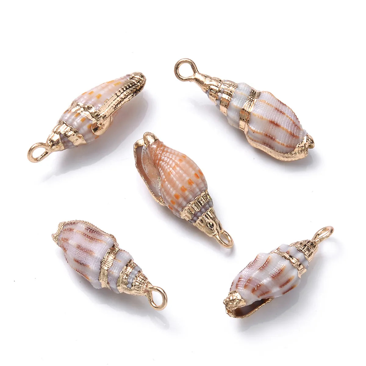 5 PCS/Package Shell Conch Shell Pendant