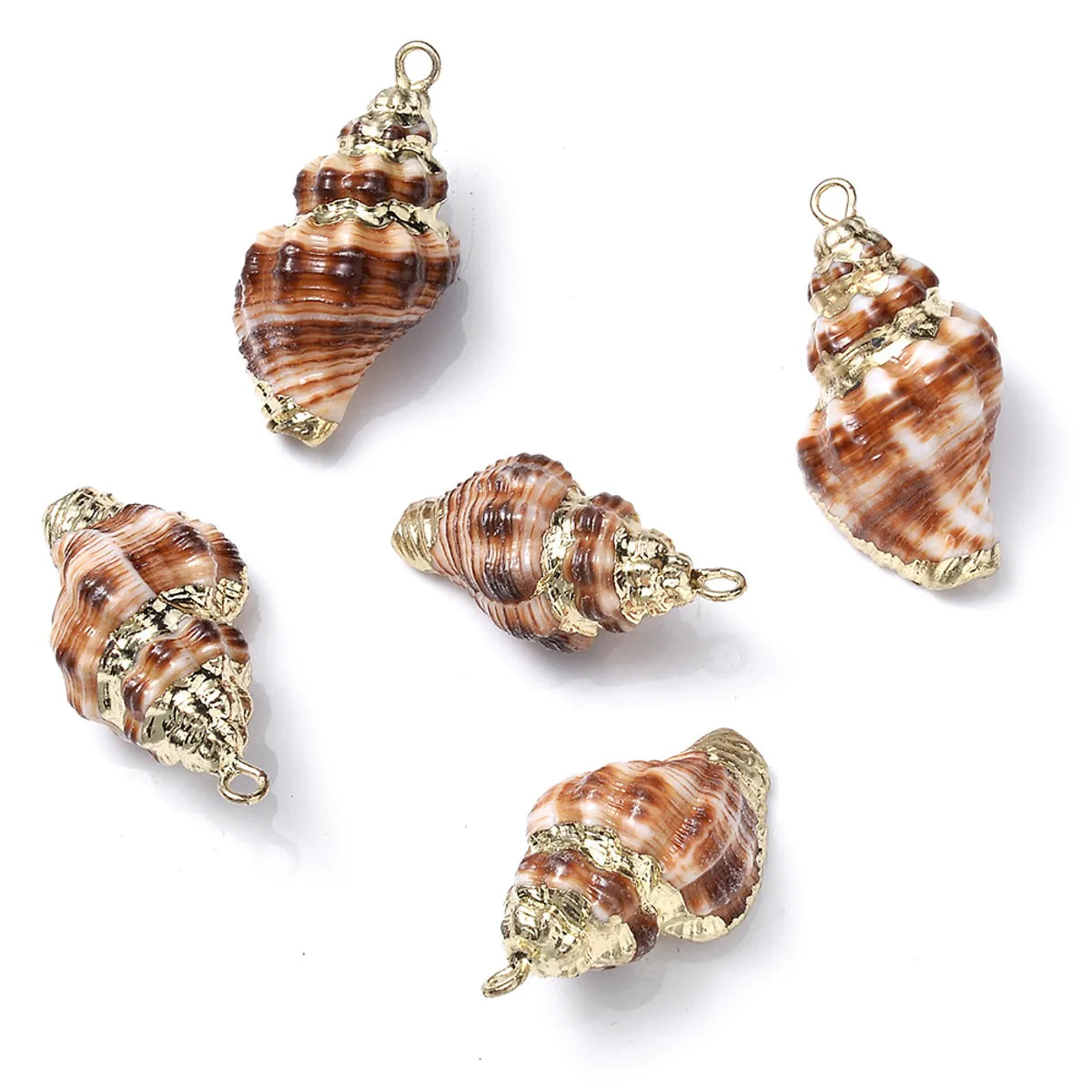 5 PCS/Package Shell Conch Shell Pendant