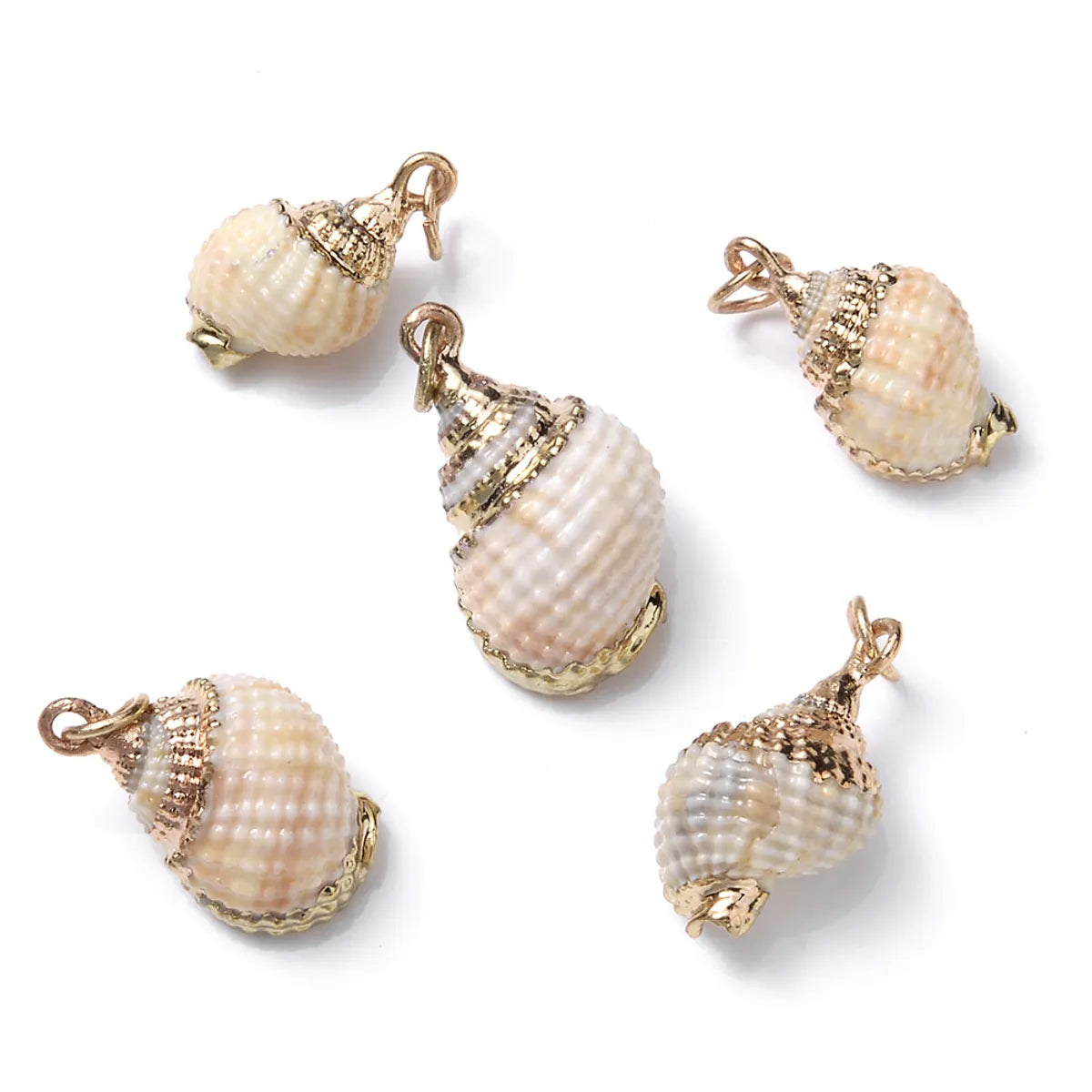 5 PCS/Package Shell Conch Shell Pendant