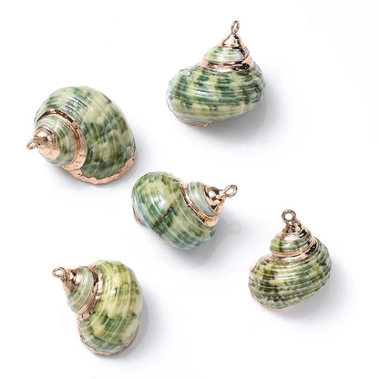 5 PCS/Package Shell Conch Shell Pendant